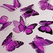 Butterfly 3D Translucent Decoration 12 PURPLE WIKI Butterflies