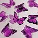 Butterfly 3D Translucent Decoration 12 PURPLE WIKI Butterflies