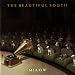 Beautiful South-Miaow