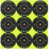 Birchwood Casey Shoot-N-C 2-Inch Round Bull's-Eye Target (Pack of 12)
