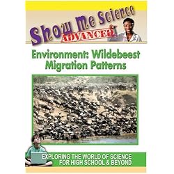 Environment: Wildebeest Migration Patterns