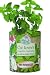Gifts That Bloom ~ Catnip Garden