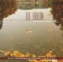Autumn Leaves