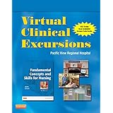 virtual clinical excursions 30 for fundamental concepts and skills for nursing 4e