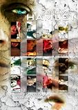 Fodor's Hamlet (DVD) Drama (2007) Run Time: 131 Minutes ~ Starring: Wilson Belchambers, James Frail, Lydia Piechowiak, Jason Wing ~ Directed by: Alexander Fodor