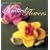 Nicky Epstein's Knitted Flowers