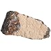 American Educational Gray-Black Fine Grained Basalt Igneous Rock, 10 Pieces