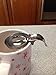 The Pampered Chef Egg Separator #1187