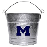 Michigan Wolverines Ice Bucket