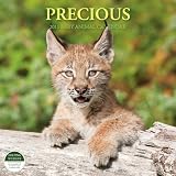 Precious 2011 Baby Animal Calendar