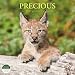 Precious 2011 Baby Animal Calendar by Thomas Kokta