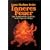 Inneres Feuer: Eine Meditations�bung aus den Sechs Yogas von Naropa