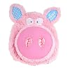 My Piggy Book