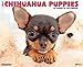 Just Chihuahua Puppies 2015 Wall Calendar