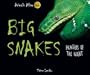 Big Snakes: Hunters of the Night (Animals After Dark)