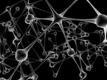 the truth in gaining your memory power back fast: memory improvement insider secret systems - karen beauty the truth in gaining your memory power back fast: memory improvement insider secret systems - karen beauty