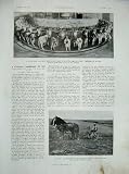 1934 France Agriculture Farming Diagrams Motrice Andre