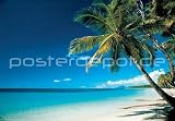 Poster Beach - morning - Strand am Morgen