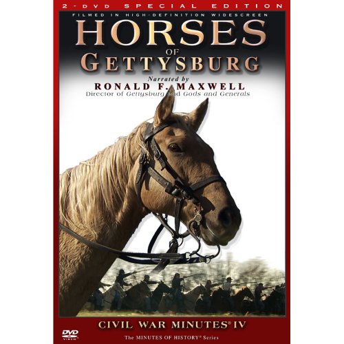 HORSES OF GETTYSBURG   CIVIL WAR MINUTES