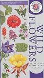 Wild Flowers of Britain and Northern Europe (Kingfisher Field Guides)