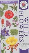 Wild Flowers of Britain and Northern Europe (Kingfisher Field Guides)