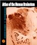 Atlas of the Human Brainstem
