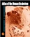Book Atlas of the Human Brainstem