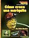 Book Como Crece una Mariquita/ A Ladybug Larva Grows Up (Scholastic News Nonfiction Readers En Espanol)