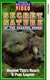 Review Quay West Publishing Ltd.  / Secret Nature Of The Channel Shore - Beyond The Tide's Reach / Pure Lagoon