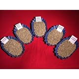 GreenCoffeeBeansVarietyPack-5lbs