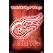 Detroit Red Wings Logo Poster 3528