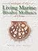 Book A Catalogue of the Living Marine Bivalve Molluscs of China
