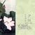 Chinese Traditional Zheng Music