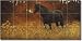 Dark Horse by Liz Mitten Ryan- Horse Landscape Glass Wall Floor Tile Mural 18