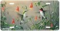 Hummingbird & Columbine - Birds - Wildlife Art Print - License Plate Tag By Hautman Brothers From Airstrike