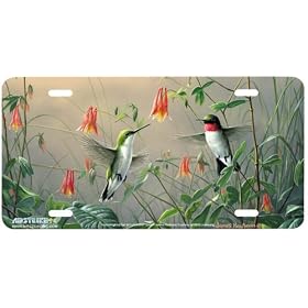 Hummingbird & Columbine - Birds - Wildlife Art Print - License Plate Tag By Hautman Brothers From Airstrike