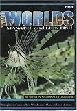  : TWO WORLDS- MANATEE and LION FISH
