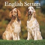 English Setters 2009 Square Wall Calendar