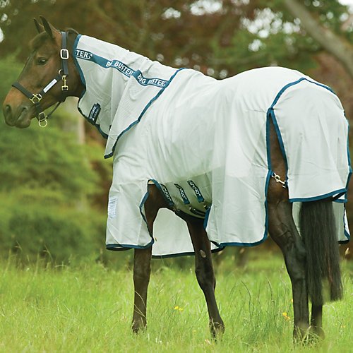Horseware Amigo Bug Buster Fly Sheet Review Wheeleresamhp google sites