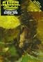 Lord Jim (Classics Illustrated)