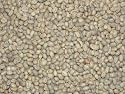 Tanzania Peaberry Green Coffee Beans - 5lbs
