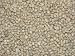Tanzania Peaberry Green Coffee Beans - 5lbs