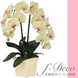 �Ӓ����C�G���[ 2�e