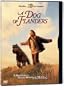 Dog of Flanders