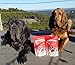 Dog Bark Naturals Beef Bark - All Natural Beef Jerky Dog and Puppy Treats, No Fillers, Responsibly Sourced and Made in The USA
