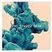 I'm Gonna Wait- The Temper Trap