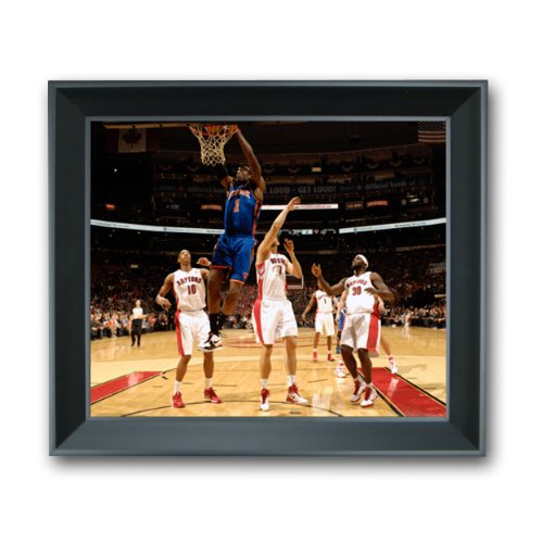 NBA New York Knicks 13 X 11 3-D Photo Treehugger Framed - Amar'e Stoudemire