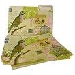 Parakeet Botanical Ephemera 12 File Manila Folders