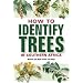 How to Identify Trees in Southern Africa