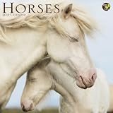2012 Horses Wall Calendar